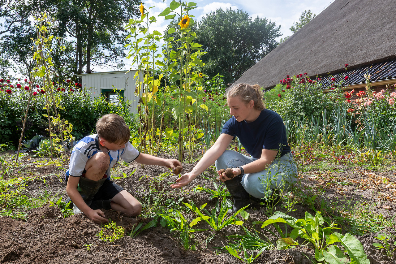 Delleweer Voor verwijzers